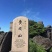 武夷山保护区高山野生百花蜜