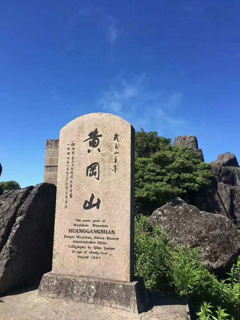 武夷山保护区高山野生百花蜜