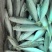 巴浪鱼，规格80-100，单冻