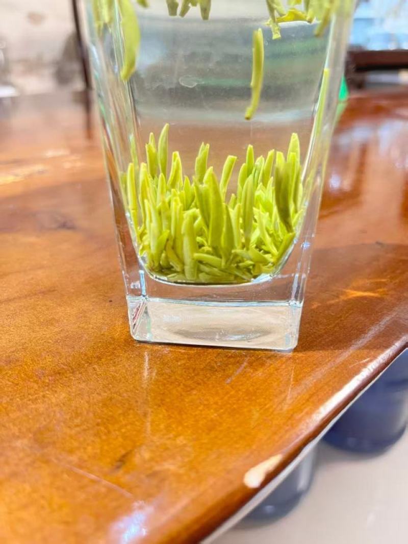湄潭翠芽
