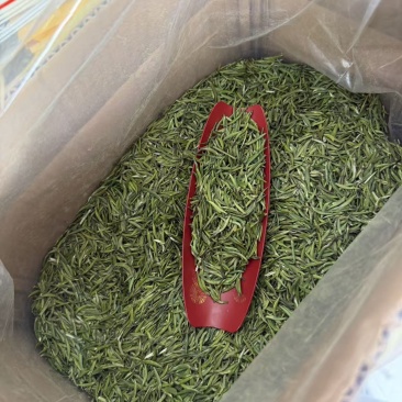 高山大白茶