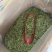 高山大白茶