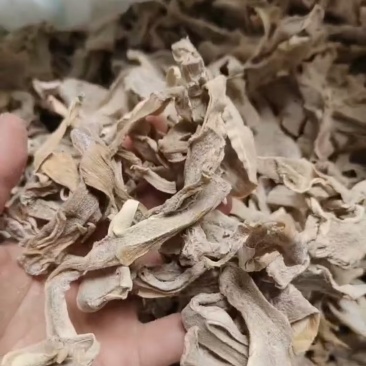 浙江宁海双峰春笋干