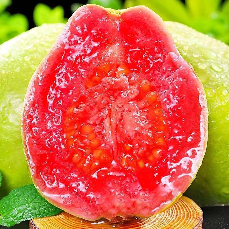 番石榴白芭乐红芭乐承接电商一件代发价格美丽全平台可接