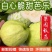 番石榴白芭乐红芭乐承接电商一件代发价格美丽全平台可接