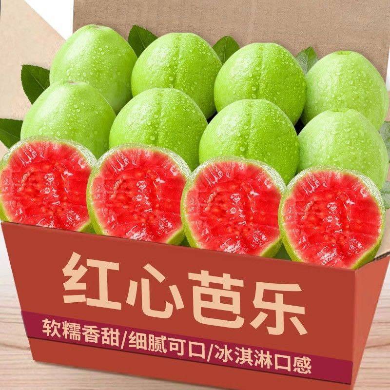 番石榴白芭乐红芭乐承接电商一件代发价格美丽全平台可接