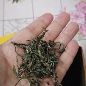 湖南省新化奉家绿茶