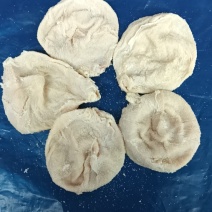 盐干猪小肚肠衣产地直供按个批发可少量拿样