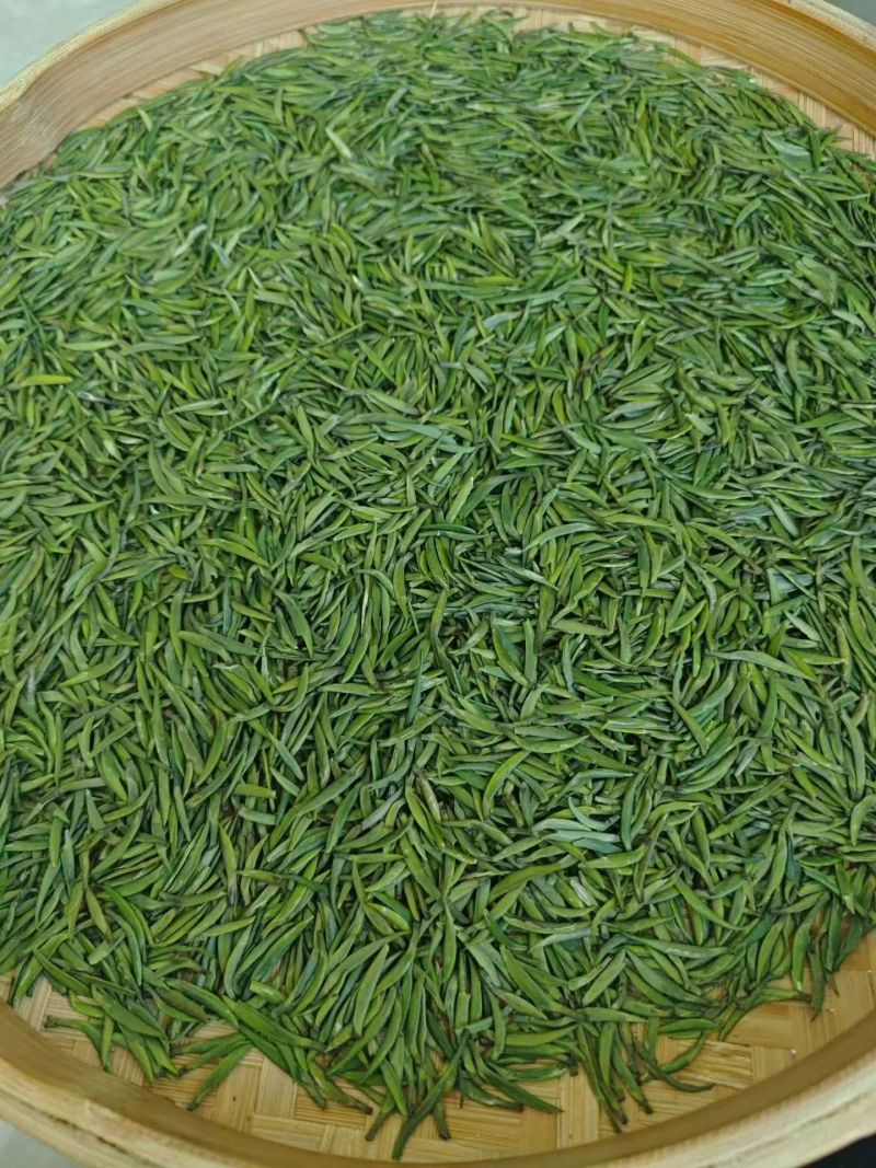 精品福鼎