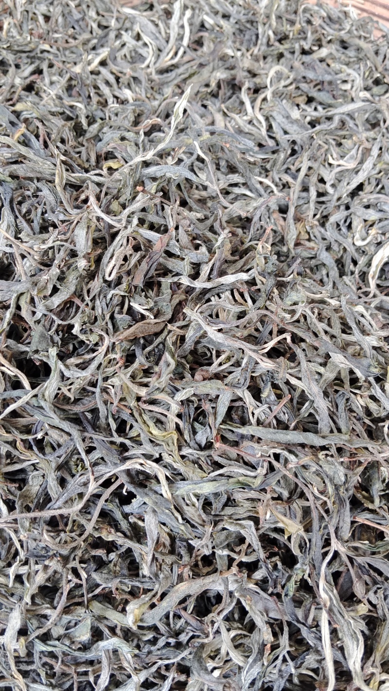 云南省普洱市景谷县凤山镇古树藤条茶