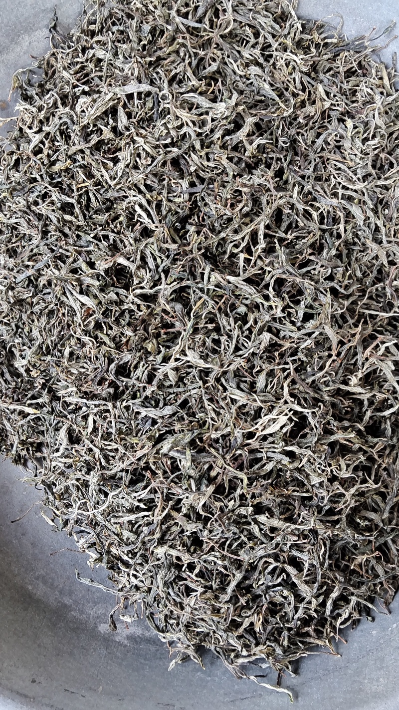 云南省普洱市景谷县凤山镇古树藤条茶