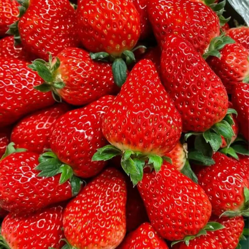 夏季草莓