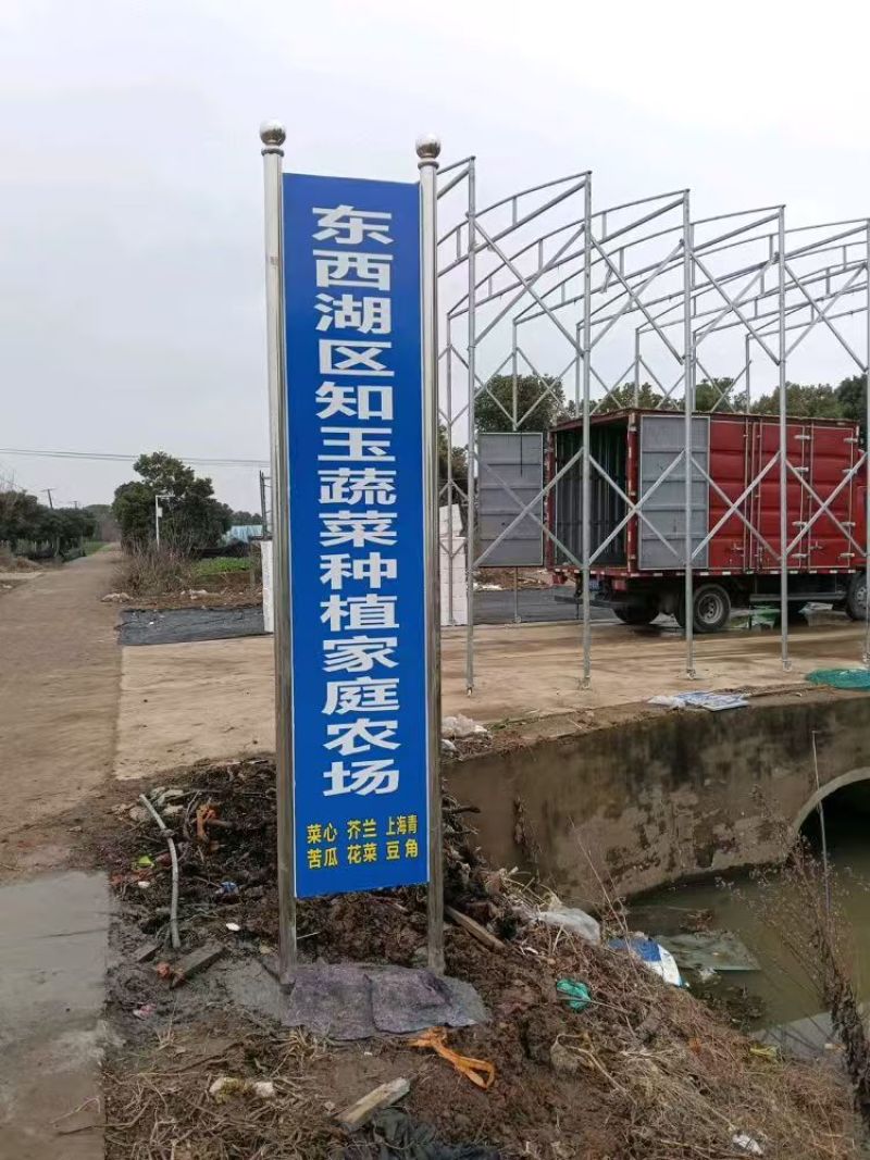 广东菜心，芥兰，红薯叶。