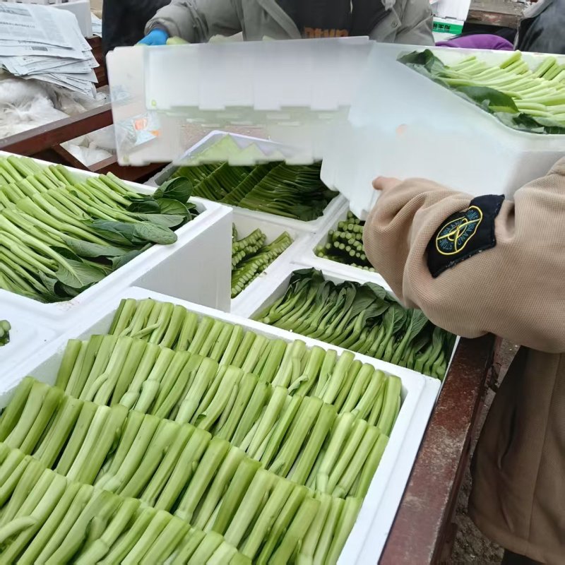 广东菜心，芥兰，红薯叶。