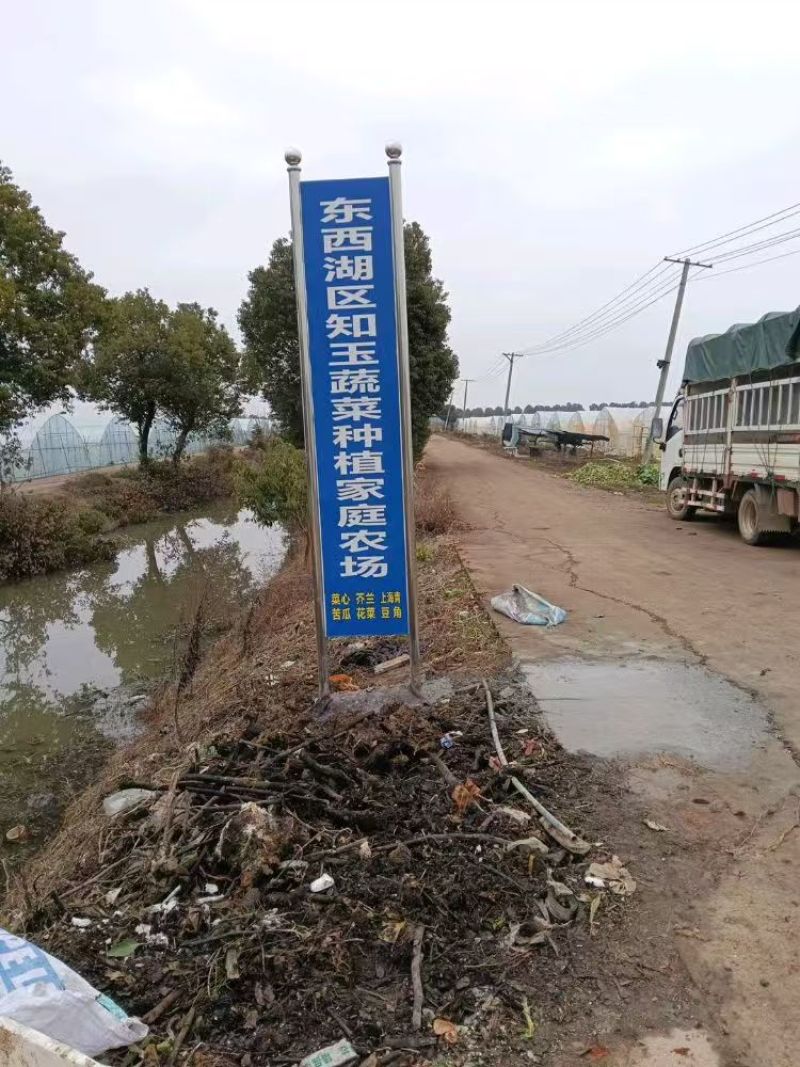 广东菜心，芥兰，红薯叶。