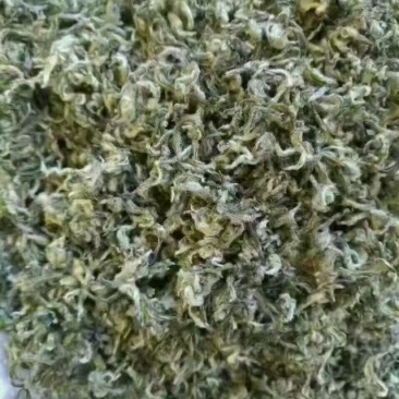 贵州纯手工毛尖