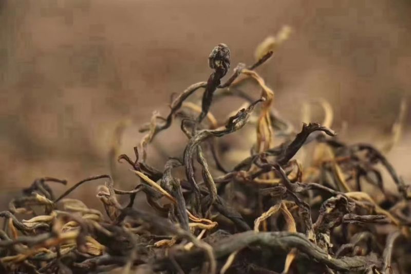普洱茶，生态茶不打药不施肥健康茶