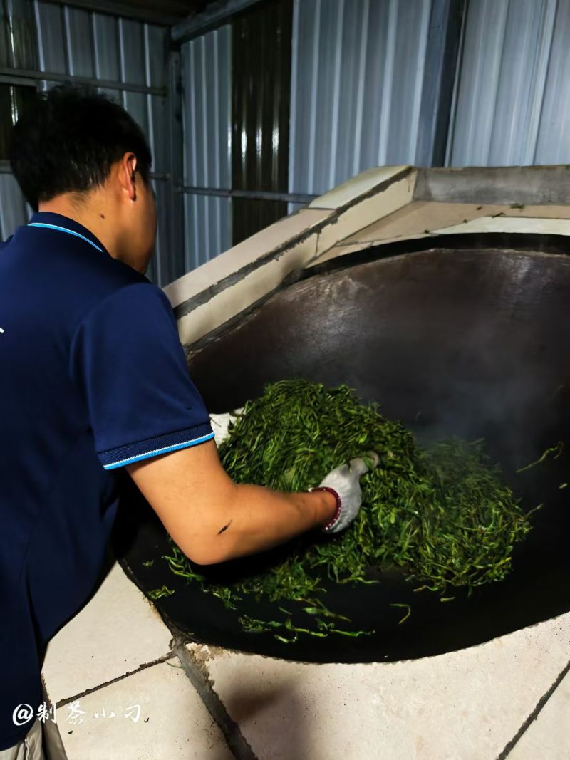 南糯山拔玛茶，不打药不施肥，0农残，口感好