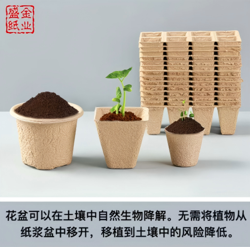 6圆纸浆育苗源头厂家，环保可降解材质无需脱袋保护根系