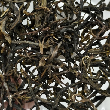 古树茶