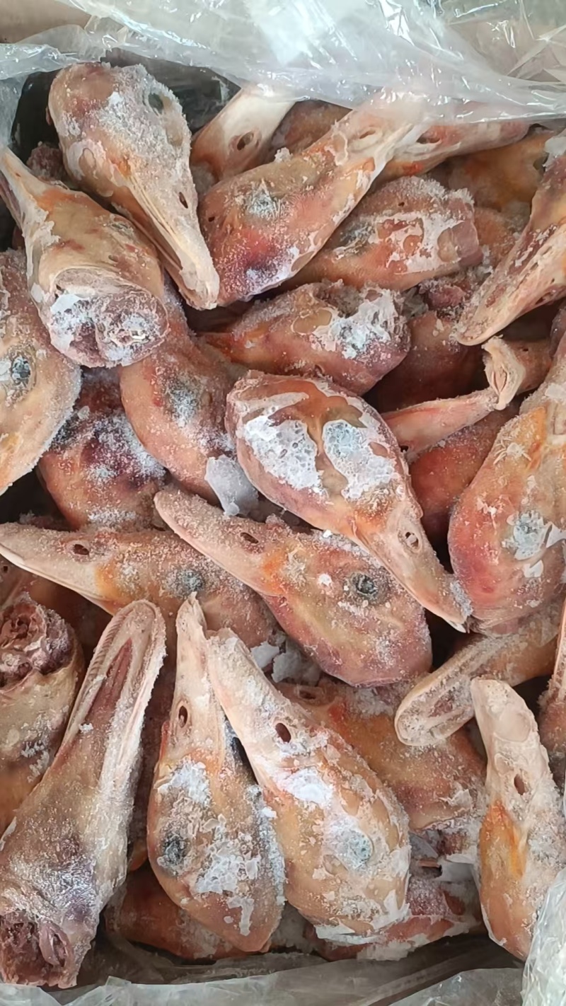 带舌番鸭头三吨