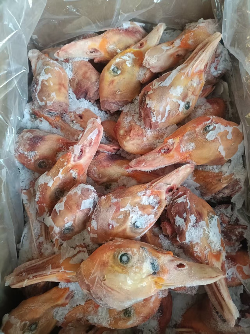 带舌番鸭头三吨