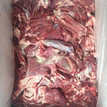 鲜冻羊肉
