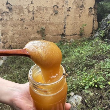 高山土蜂蜜，来自海拔3000+的大凉山