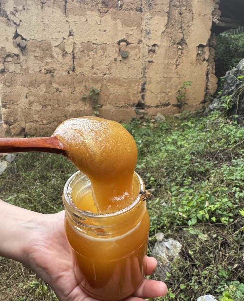 高山土蜂蜜，来自海拔3000+的大凉山