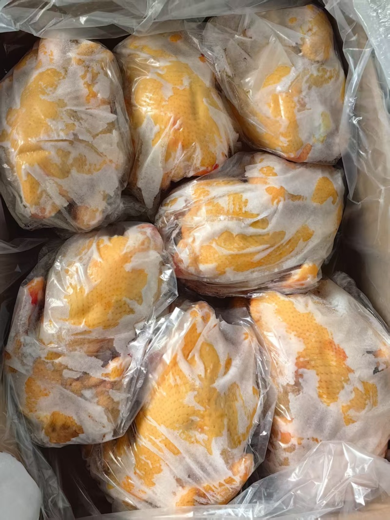 黄油鸡6-8只