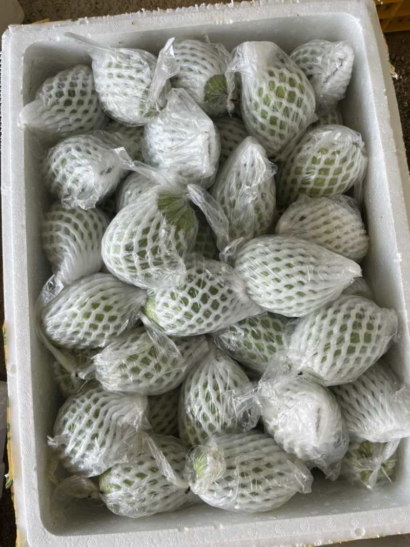 番石榴（芭乐）量大，货优，全品类，欢迎订购