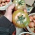 大口感草莓西红柿大口感