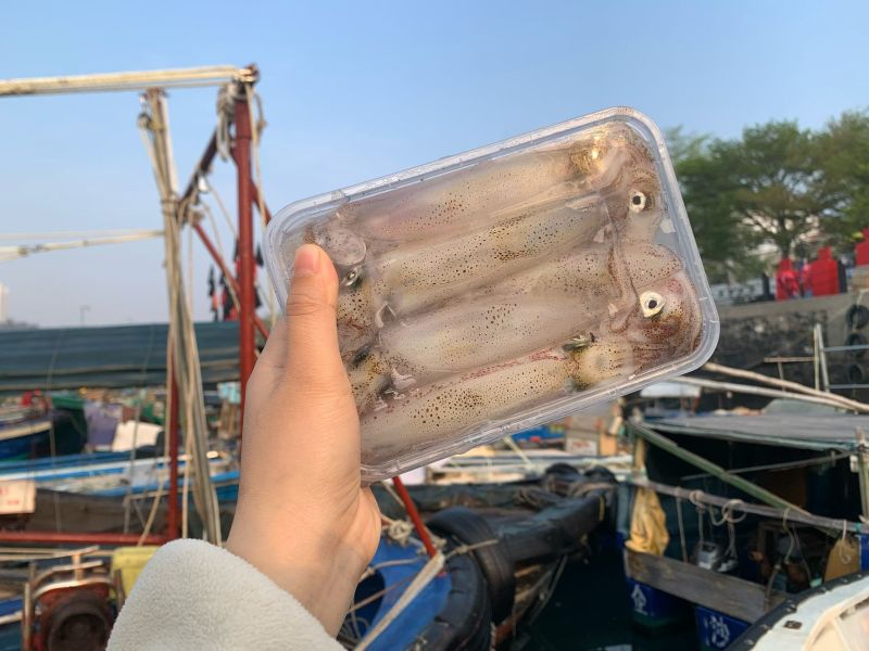 子弹鱿35一盒