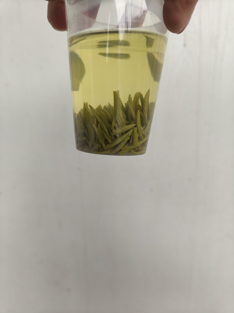湄潭精品翠芽