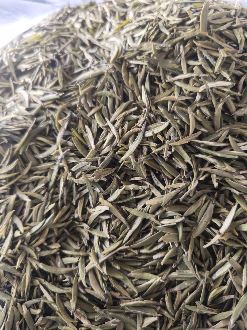 湄潭精品翠芽