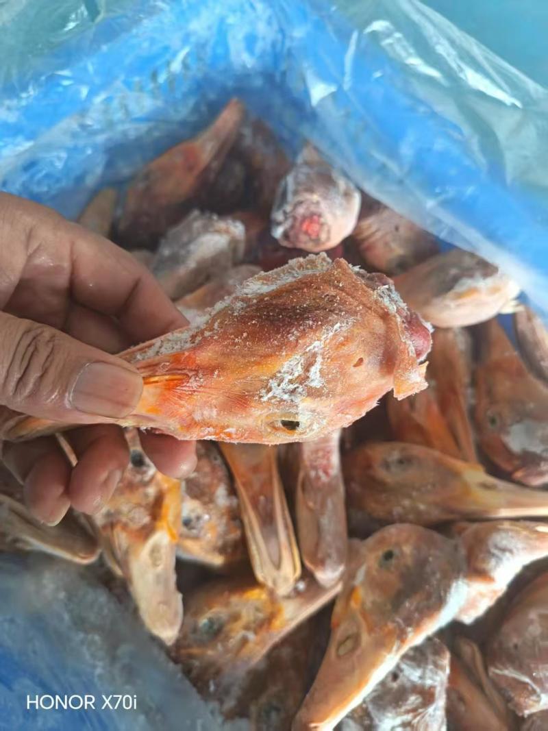 带舌番鸭头2吨左右