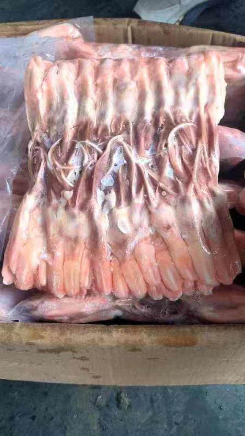 厂家大鸭舌2吨