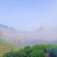 黄山毛峰，太平猴魁茶叶