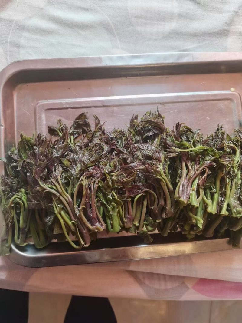 冷冻香椿