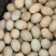 河套鸭蛋，笨鸭蛋，散养鸭蛋