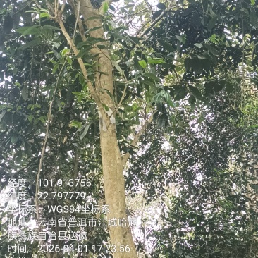 源头批发零售