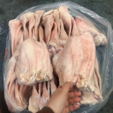 35/36片左右A耳朵，带肉少，耳叶大