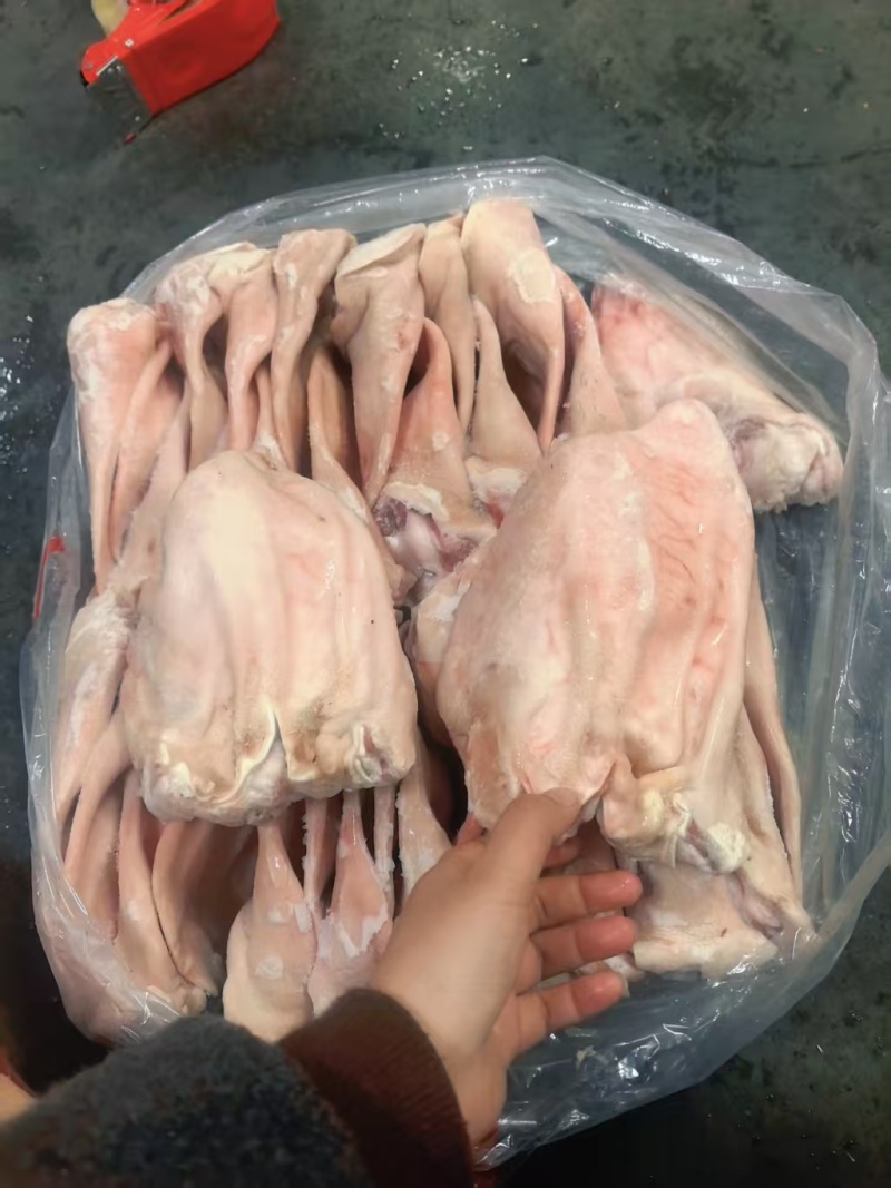 35/36片左右A耳朵，带肉少，耳叶大