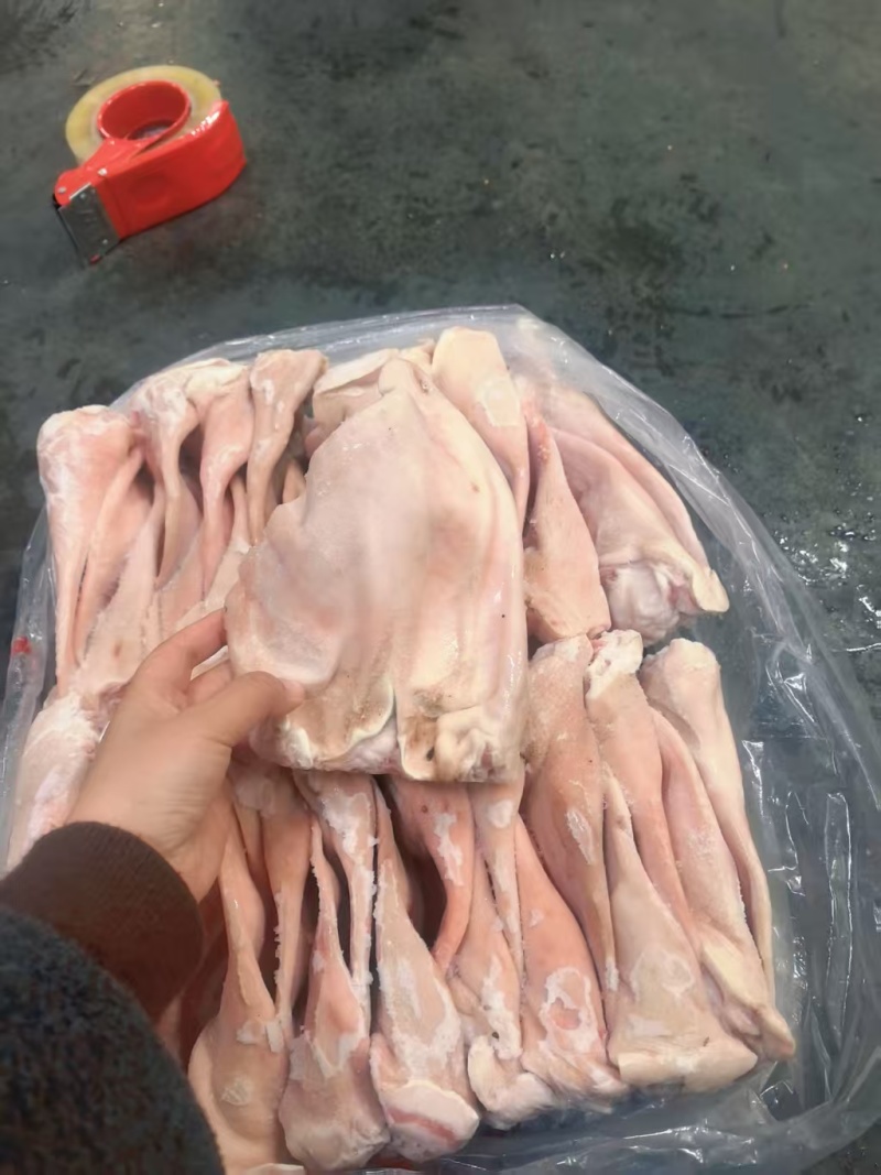 35/36片左右A耳朵，带肉少，耳叶大