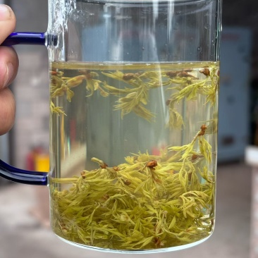 莓茶芽头