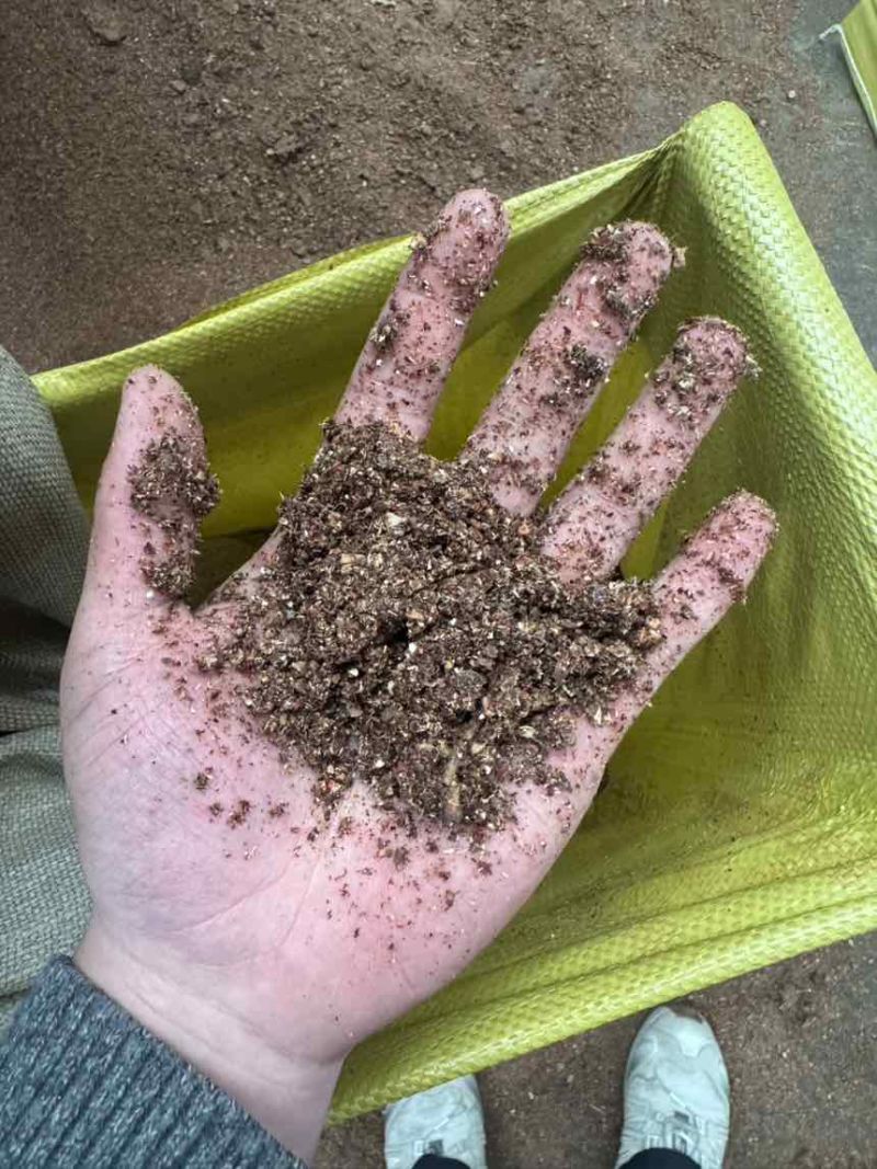 高糖枣粉高能量喂牛羊育肥快喜欢吃