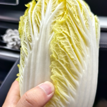 毛菜一袋40颗，大概60斤