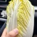 毛菜一袋40颗，大概60斤