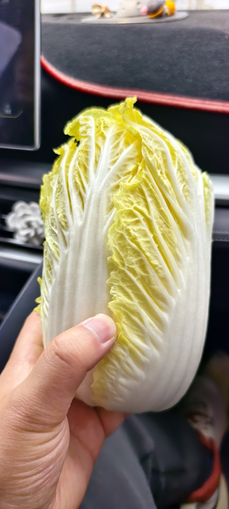 毛菜一袋40颗，大概60斤