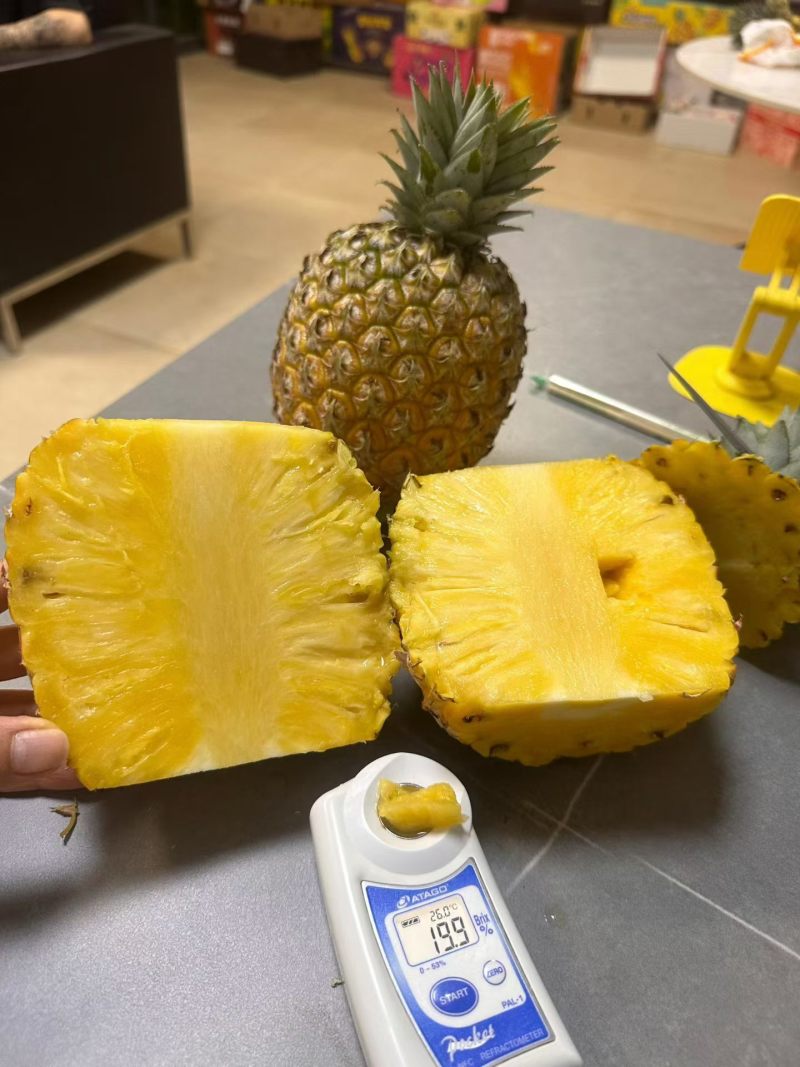 海南芒果凤梨市场商品果全国配货可一件代发